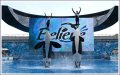 SeaWorld Orlando Attractions